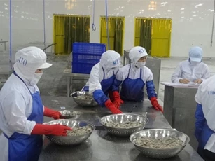 Cơ hội đẩy mạnh xuất khẩu tôm