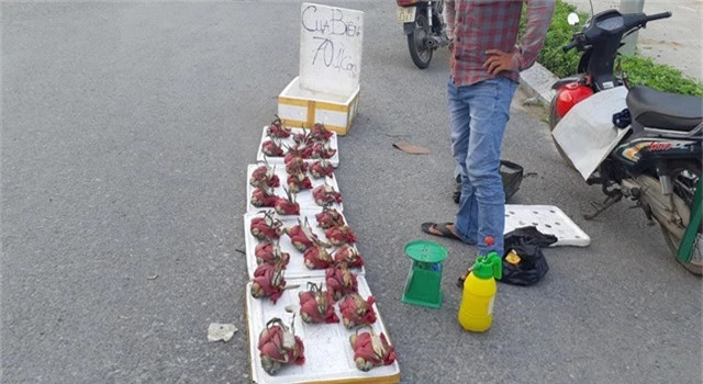 sạp cua biển giá bán siêu rẻ đang được khá nhiều người bán tại đường ở Hà Nội. Nhiều người dân rất lo lắng khi cua không rõ nguồn gốc được tuồn vào chợ.
