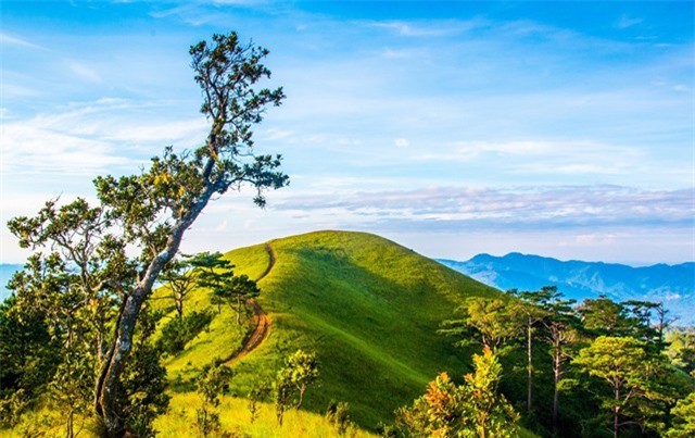 5 điểm đến ở Bình Thuận khiến phượt thủ đứng ngồi không yên