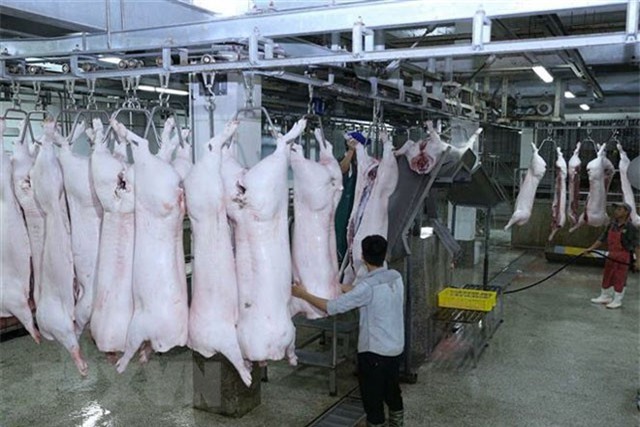 Cá nhân vi phạm an toàn thực phẩm sẽ bị phạt tới 200 triệu đồng