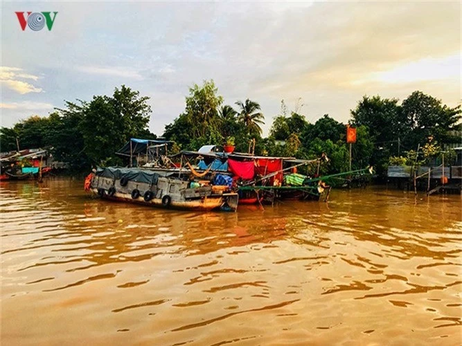 khoanh khac don binh minh tuyet dep tren song hau hinh 7