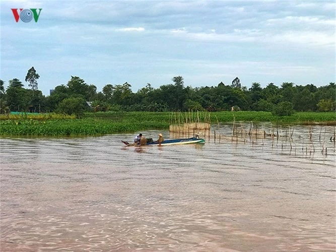 khoanh khac don binh minh tuyet dep tren song hau hinh 8