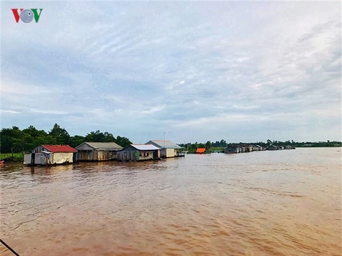 khoanh khac don binh minh tuyet dep tren song hau hinh 9