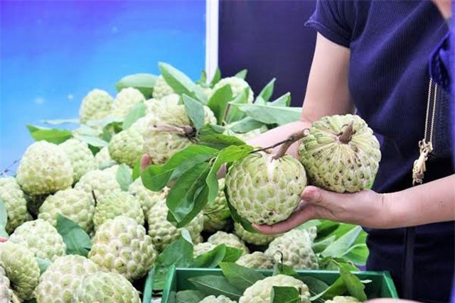 BẢN TIN TÀI CHÍNH-KINH DOANH: Nhà giàu Việt ngày càng chịu chi, kiếm bộn tiền từ na ‘khủng’