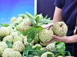 BẢN TIN TÀI CHÍNH-KINH DOANH: Nhà giàu Việt ngày càng chịu chi, kiếm bộn tiền từ na ‘khủng’