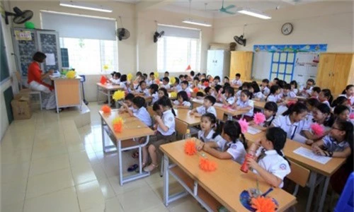 Năm học này, trường tiểu học Chu Văn An có 23 lớp 1 với 1.145 học sinh.