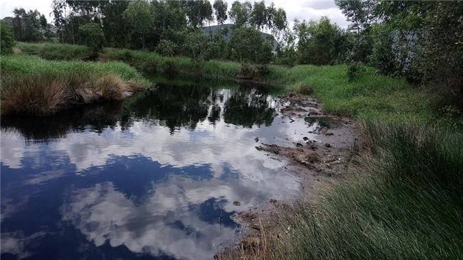 Long An: Dân “nín thở” vì nhà máy xử lý rác Tâm Sinh Nghĩa gây ô nhiễm
