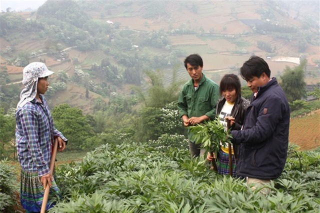 Đổi đời nhờ các dự án sinh kế