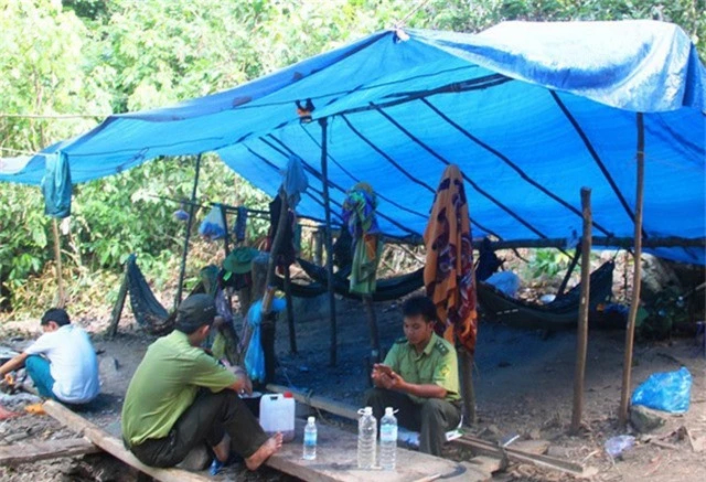 Gần đây trên địa bàn tỉnh Bình Định thường xuyên xảy ra tình trạng lâm tặc tấn công gây thương tích lực lượng kiểm lâm.