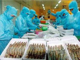Đánh giá nguy cơ về an toàn thực phẩm khi xuất khẩu thủy sản vào Trung Quốc