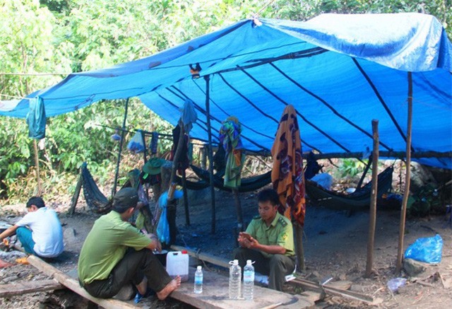 Khởi tố đối tượng kề mã tấu, dọa giết kiểm lâm