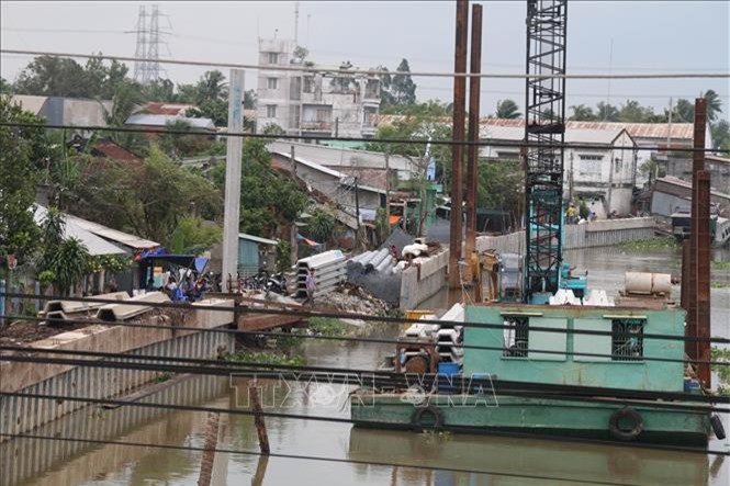 Tiền Giang đầu tư hơn 1,2 tỷ đồng trồng lục bình và cây chống sạt lở kênh rạch