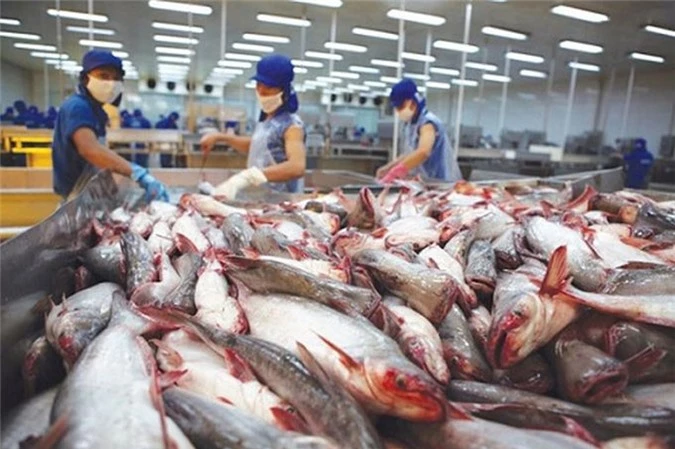 Mỹ giảm thuế thủy sản Việt.