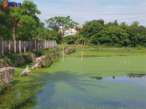 Hồ chứa nước thải bệnh viện hàng chục năm đầu độc người dân