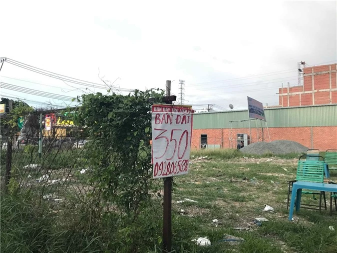  Nhiều biển hiệu bán đất nhưng rất ít người mua.