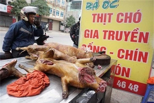 2021: Nội thành Hà Nội không còn bán thịt chó