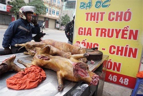 Nội thành Hà Nội không còn bán thịt chó từ năm 2021