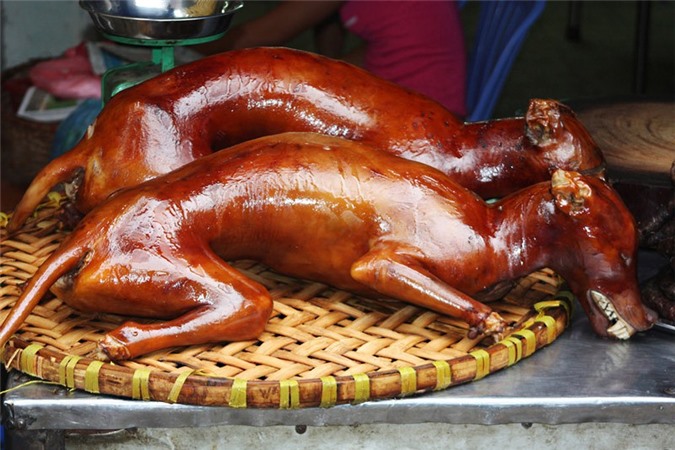 Hà Nội kêu gọi không ăn thịt chó, người dân phản ứng thế nào?