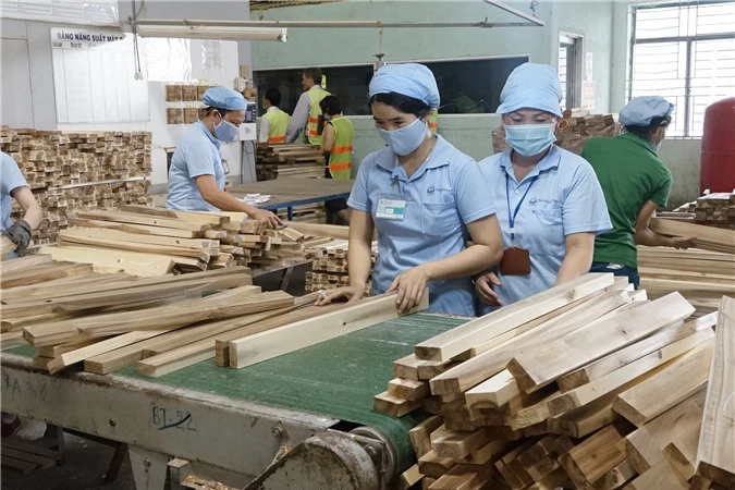 Chế biến gỗ tại Nhà máy Công ty Scansia Pacific (KCN Nhơn Trạch – Đồng Nai). (Ảnh: Khoa Tư)