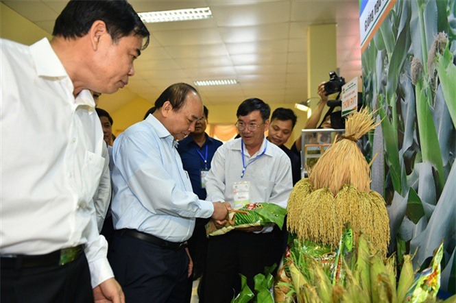 Vinaseed - Doanh nghiệp khoa học công nghệ tiêu biểu