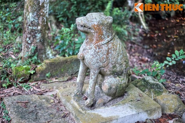 Giải mã quan niệm gắn với hình tượng con chó độc nhất Việt Nam