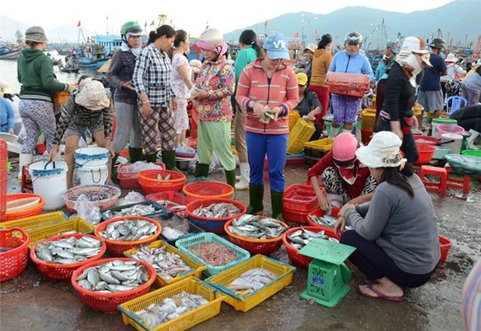 Ngư dân về tránh bão bị thương lái ép giá hải sản.