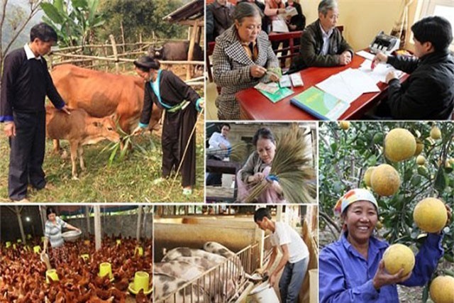 Gần 11.800 tỷ đồng phục vụ chương trình giảm nghèo