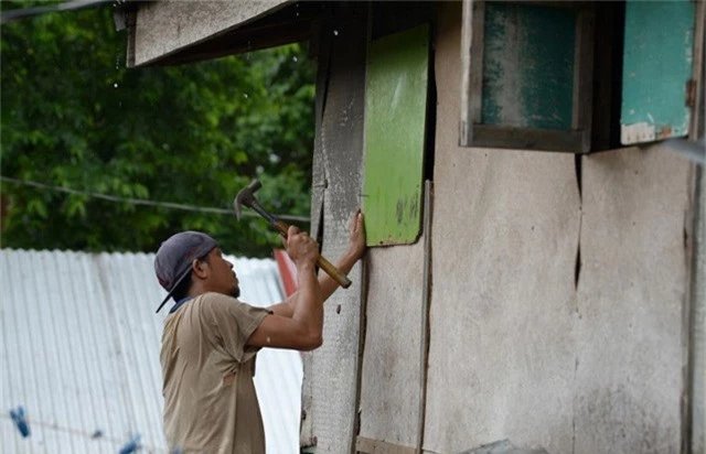 Nhiều người lo ngại bão Mangkhut đổ bộ sẽ tàn phá hoa màu tại Cagayan và Isabela khi vụ thu hoạch đang bắt đầu. Nông dân Philippines đang chạy đua với thời gian để vớt vát số thóc lúa còn lại trước khi bão ập tới. (Ảnh: AFP)