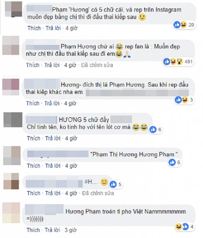 Ro tin don mang thai phai sang My am tham sinh con, Pham Huong noi gi? hinh anh 2