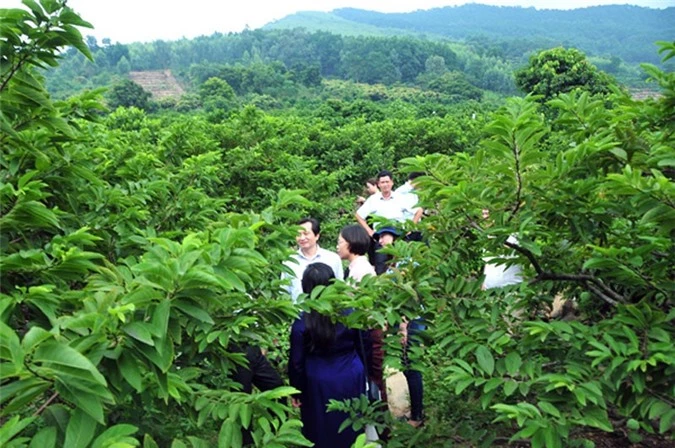 Ảnh minh họa.