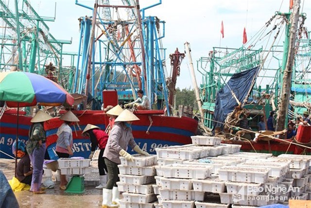 Quy chuẩn kỹ thuật phế liệu nhập khẩu: Muộn còn hơn không?