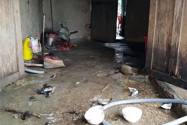 Níu kéo bất thành, thanh niên tưới xăng vào bạn gái rồi cùng tự thiêu