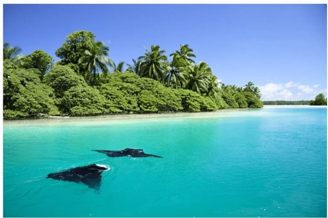 Kinh hoàng hòn đảo bị nguyền rủa 'khét tiếng' của nước Mỹ