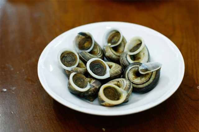 Sự thực kỳ thú về ốc núi Bà Đen nổi tiếng Tây Ninh