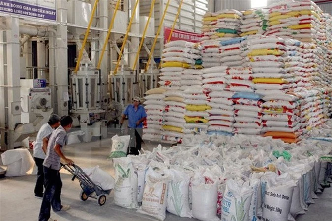 Xuất khẩu gạo tăng mạnh về giá trị.