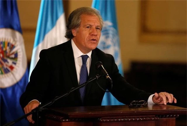 Tổng thư ký Tổ chức Các quốc gia châu Mỹ (OAS) Luis Almagro (Ảnh: Reuters)