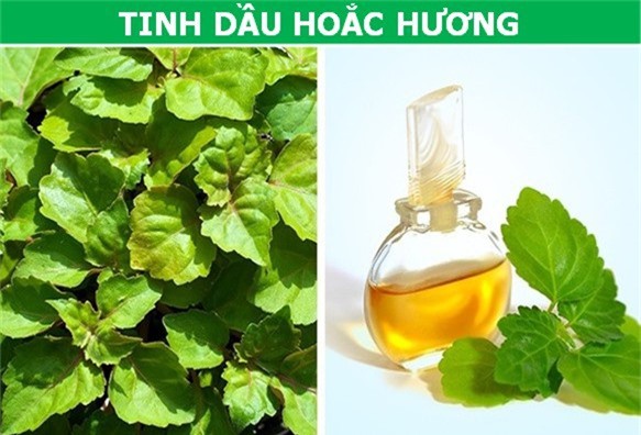 Những loại "chất lỏng" đắt đỏ nhất hành tinh