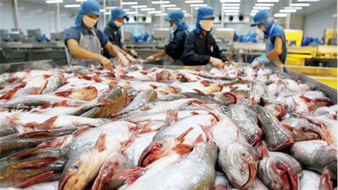 Cá da trơn Việt Nam có thêm cơ hội xuất khẩu vào Mỹ