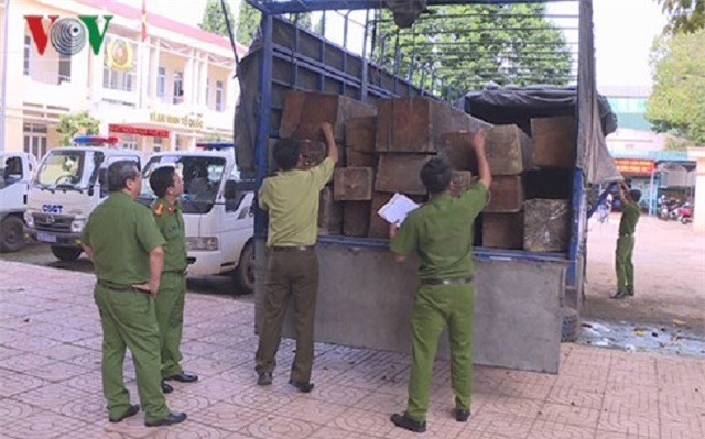 31 hộp gỗ lậu cất giấu tinh vi trong thùng xe tải