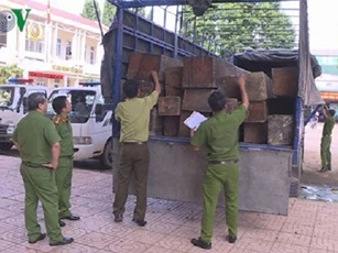 31 hộp gỗ lậu cất giấu tinh vi trong thùng xe tải