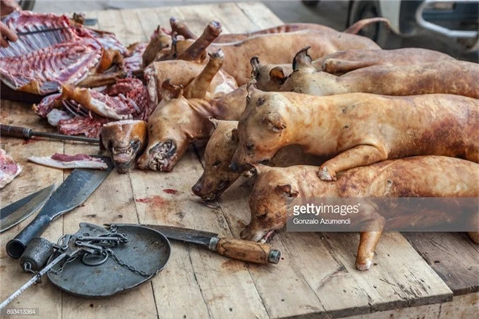 Thit cho Ha Noi “cuc di” qua loat anh cua Getty