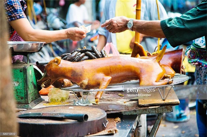 Thịt chó Hà Nội là một đặc sản nổi tiếng của Việt Nam. Điều đặc biệt là bạn có thể tận mắt thấy quá trình chế biến thịt chó thông qua các bức ảnh chụp tại Hà Nội, và khám phá cuộc sống đặc biệt của người làm thịt chó qua những tấm ảnh này.