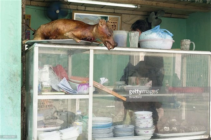 Thit cho Ha Noi “cuc di” qua loat anh cua Getty-Hinh-5