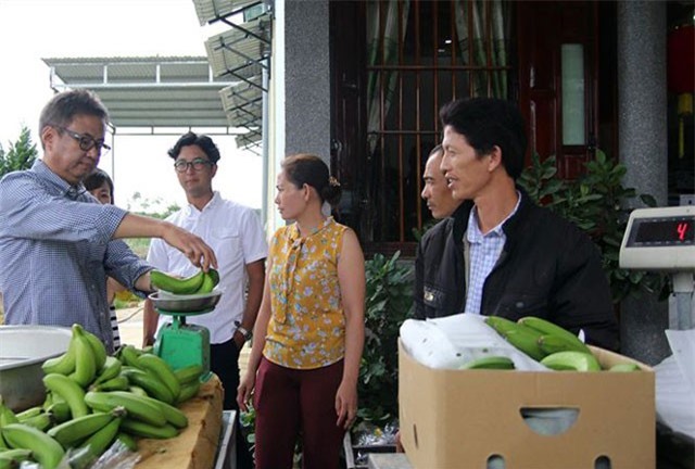 Chuối tiến vua mở đường sang Nhật