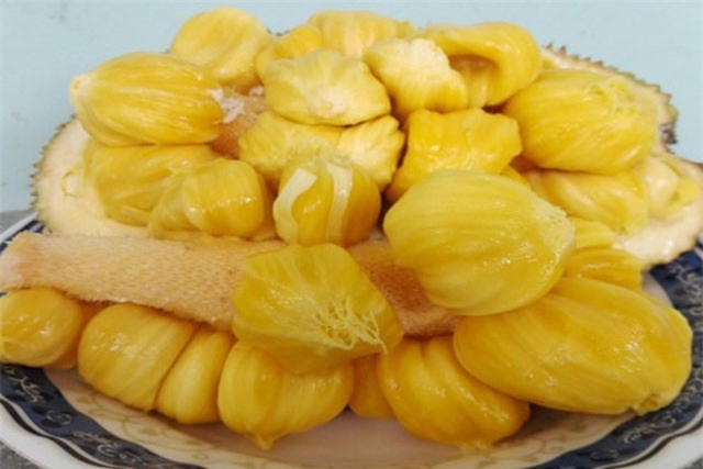 Khám phá thú vị về giống mít tố nữ, đặc sản Long Khánh