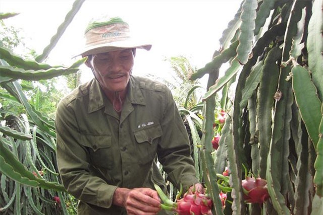 Xuất khẩu nông, thủy sản sang Nhật còn gặp khó