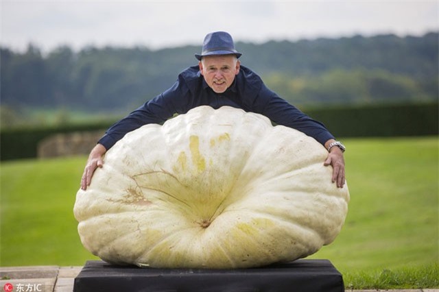 Những rau củ khổng lồ khiến ai cũng phải choáng váng