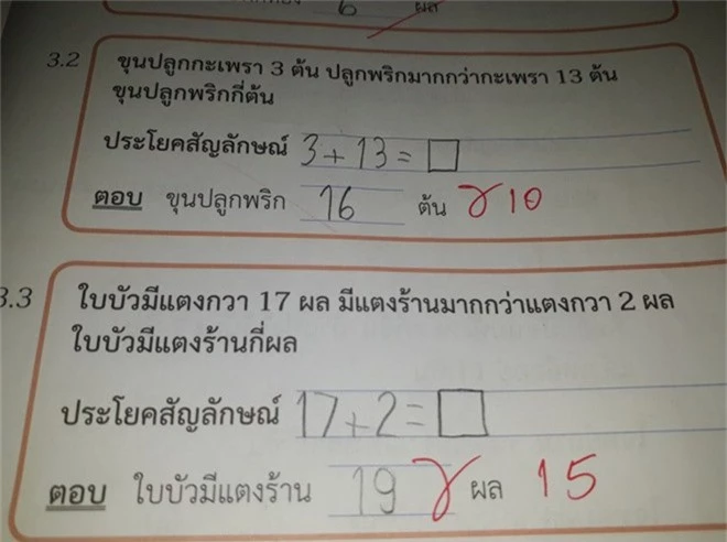 Chấm toán 12+8=4, cô giáo trẻ gây tranh cãi khi phép tính cơ bản còn sai - Ảnh 4.