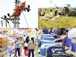 Tổng điều tra kinh tế 2017: DN dịch vụ chiếm tỉ trọng cao, nông nghiệp ngày càng giảm