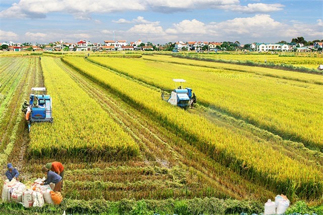 Sơ kết 5 năm thực hiện Đề án tái cơ cấu nông nghiệp